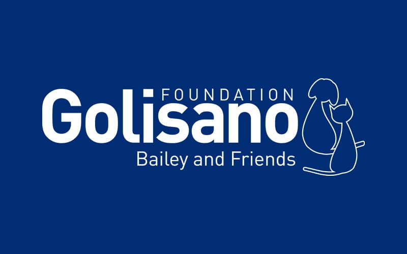 Golisano Foundation Bailey and Friends logo