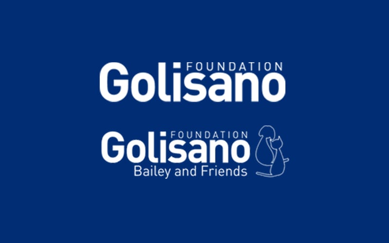 Golisano Foundation logo and Golisano Foundation Bailey and Friends logo